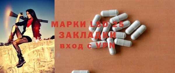 стаф Гусев