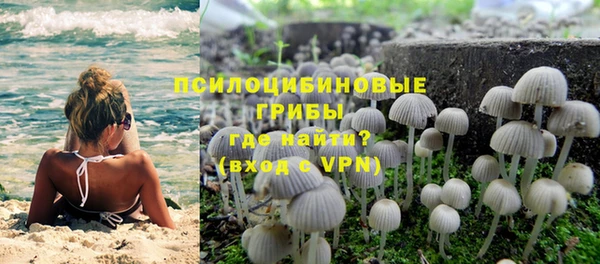 PSILOCYBIN Заволжск