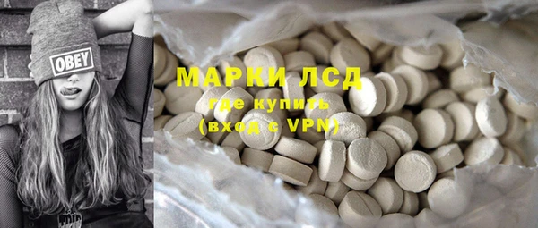 стаф Гусев