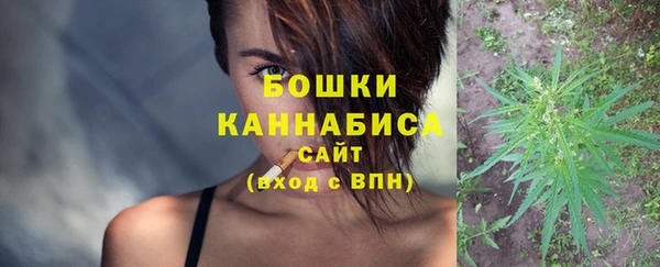 стаф Гусев