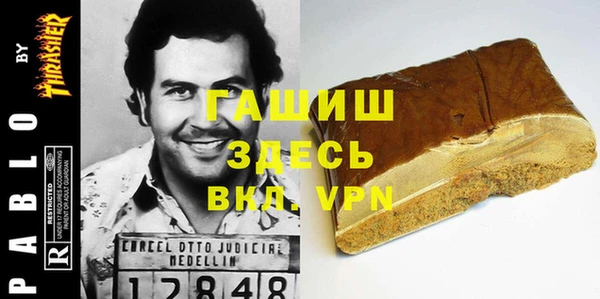 стаф Гусев