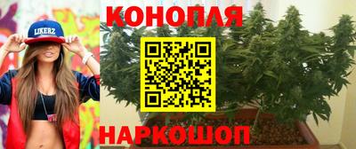 PSILOCYBIN Бугуруслан