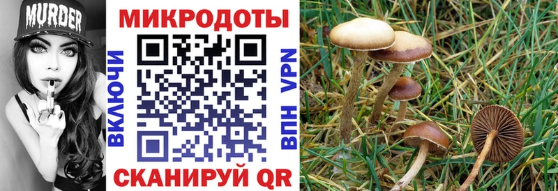 mega сайт  Десногорск  Псилоцибиновые грибы GOLDEN TEACHER 